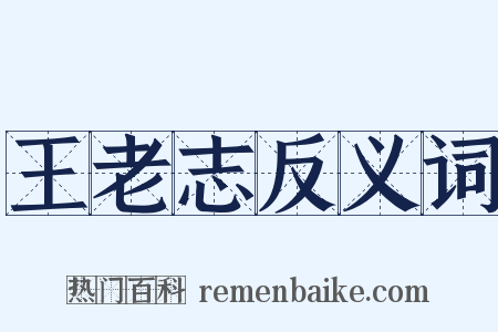 王老志反义词是什么意思的图片